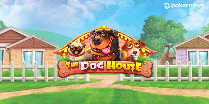 The Dog House: Mengenal Keseruan Permainan dengan Tema Anjing Ceria